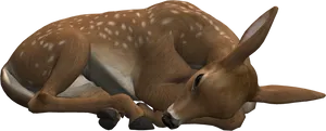 Resting Fawn3 D Model.png PNG Image