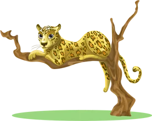 Resting Leopardon Tree Branch PNG