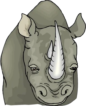 Rhinoceros Portrait Illustration PNG Image