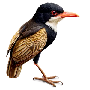 Rhode Island State Bird Png 43 PNG Image