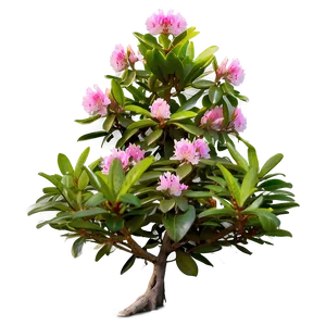 Rhododendron Bush Png 06282024 PNG Image