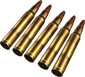 Rifle Ammunition Array PNG Image