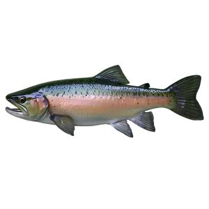 Riggins Idaho Salmon Fishing Png Kep84 PNG Image