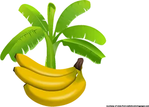 Ripe_ Bananas_ Under_ Banana_ Tree_ Illustration PNG Image