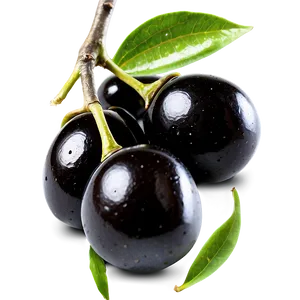 Ripe Black Olives Png 98 PNG Image