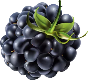 Ripe Blackberry Cluster Illustration PNG Image