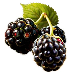 Ripe Blackberry Fruit Png 95 PNG Image