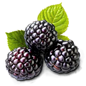 Ripe Blackberry Fruit Png Njn56 PNG Image