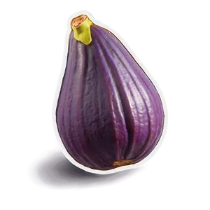 Ripe Fig Illustration Png 06202024 PNG Image