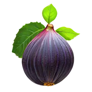 Ripe Fig Illustration Png 58 PNG Image