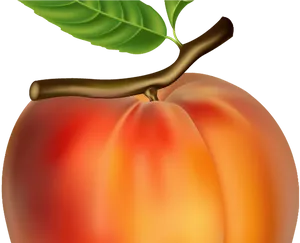 Ripe Peach With Leaf PNG Image