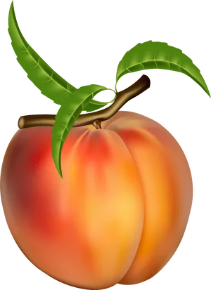 Ripe Peach With Leaves PNG Image