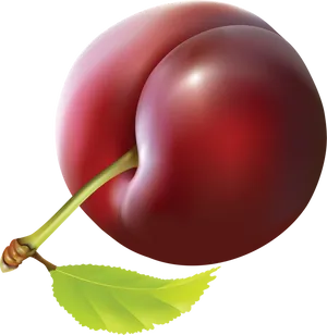 Ripe Plum Illustration.png PNG Image