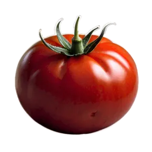 Ripe Red Tomato Png Pjx PNG Image