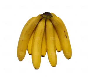 Ripe Yellow Plantainson Blue Background.png PNG Image