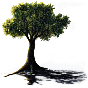 Riverside Tree Shadow Png Aoi PNG Image