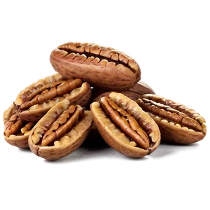 Roasted Pecan Png Cjs26 PNG Image