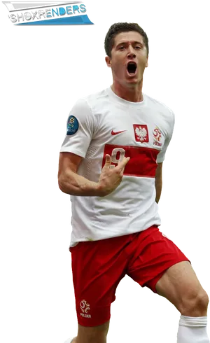 Robert Lewandowski Celebration Poland Jersey PNG Image