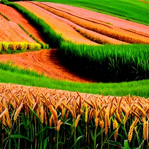 Rolling Hills Wheat Field Png Ckg PNG Image