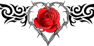 Rose Encasedin Barbed Wire PNG Image