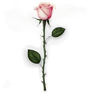 Rose Flower Transparent Png Jhb PNG Image