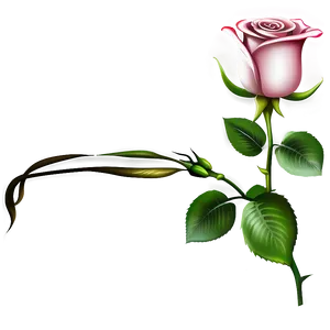 Rose Flower Transparent Png Quc PNG Image