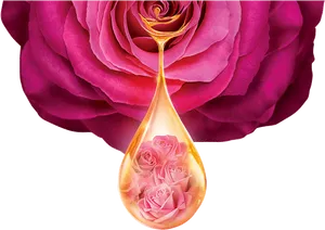 Rose Infused Oil Drop PNG Image