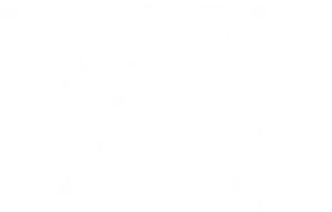 Rose Park Festival Logo PNG