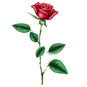 Rose Stem Png Ryc12 PNG Image