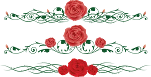 Rose Vine Floral Design PNG Image