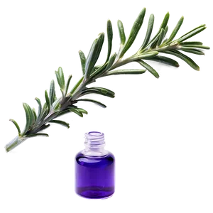 Rosemary Essential Oil Png Fsd PNG Image