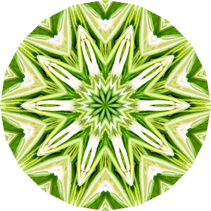 Rosemary Kaleidoscope Pattern PNG Image