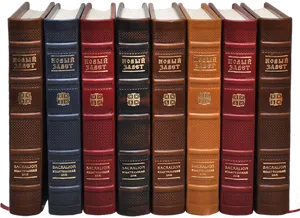 Row_of_ Classic_ Books PNG Image