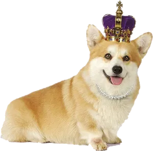 Royal Corgiwith Crownand Pearls.png PNG Image