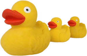 Rubber Duck Family Row PNG Image