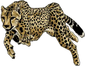 Running Cheetah Illustration PNG Image