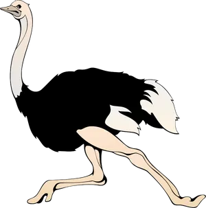 Running Emu Cartoon Illustration PNG Image