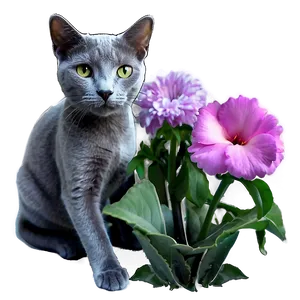 Russian Blue Cat And Flowers Png Wob PNG Image