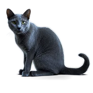 Russian Blue Cat In Shadow Png Cth PNG Image