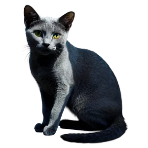 Russian Blue Cat In Shadow Png Fbn PNG Image