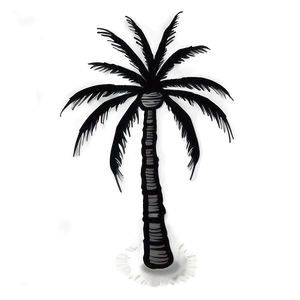 Rustic Black Palm Tree Drawing Png 06262024 PNG Image