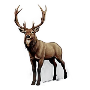 Rustic Buck Sketch Png 98 PNG Image