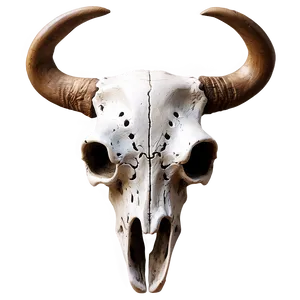 Rustic Bull Skull Art Png 55 PNG Image