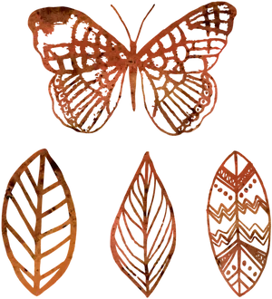 Rustic Butterflyand Leaves Outlines PNG Image