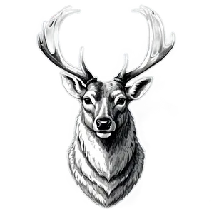 Rustic Deer Head Drawing Png Rqe1 PNG Image