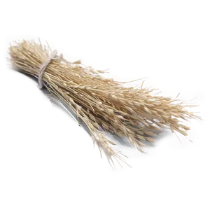 Rustic Dry Grass Png 94 PNG Image