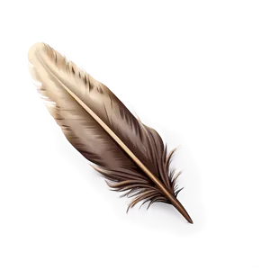 Rustic Feather Quill Png Yip PNG Image