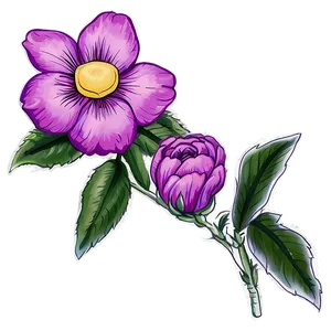 Rustic Flower Drawing Png 06252024 PNG Image