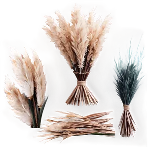 Rustic Pampas Setup Png 06272024 PNG Image