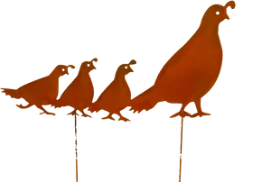 Rustic Quail Silhouette Art PNG Image